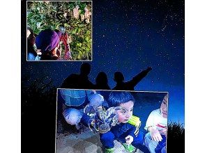 【沖縄・石垣島】星空☆ナイトサファリ【市街地送迎無料】星降る夜に南国のレアな生き物を探しに行こう！島人ガイドがご案内します！