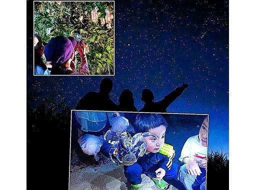 【沖縄・石垣島】星空☆ナイトサファリ【市街地送迎無料】星降る夜に南国のレアな生き物を探しに行こう！島人ガイドがご案内します！の画像