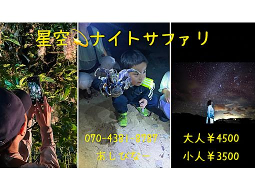 【沖縄・石垣島】星空☆ナイトサファリ【市街地送迎無料】星降る夜に南国のレアな生き物を探しに行こう！島人ガイドがご案内します！の画像