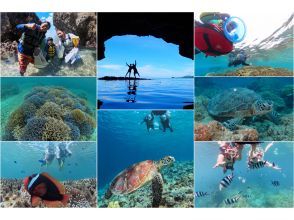 【1組様貸切/3時間】《青の洞窟orウミガメorエダサンゴ》選べる！シュノーケリングツアー！女性ガイドが担当/送迎・写真込み/手ぶら参加OK