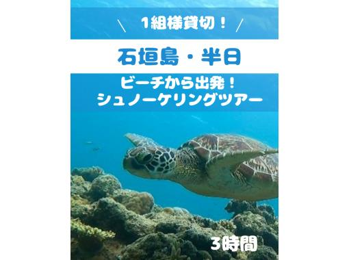 SALE！【石垣島】美ら海で遊ぼう！ビーチシュノーケリングツアー！初心者の方も安心の1組様貸切！女性ガイドが担当/送迎・写真込みの画像