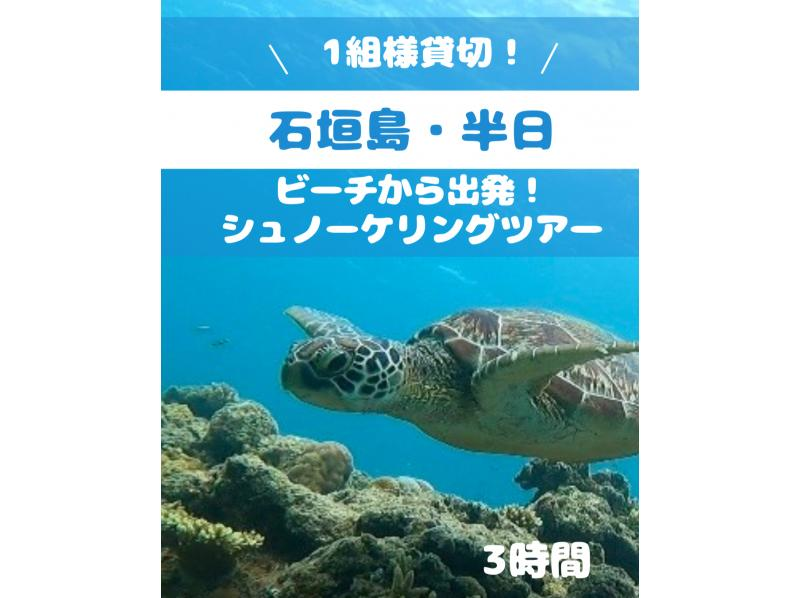 SALE！【石垣島】美ら海で遊ぼう！ビーチシュノーケリングツアー！初心者の方も安心の1組様貸切！女性ガイドが担当/送迎・写真込みの紹介画像