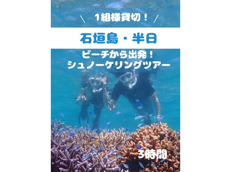 【石垣島】美ら海で遊ぼう！ビーチシュノーケリングツアー！初心者の方も安心の1組様貸切！女性ガイドが担当/送迎・写真込みの紹介画像