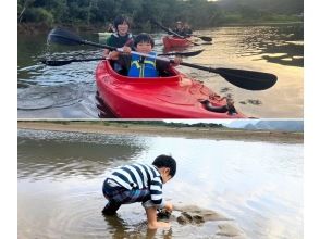 【奄美大島】お得なグループ料金！家族旅行におすすめのマングローブカヌーと干潟の生き物散策ツアー！認定ガイドが楽しくご案内！