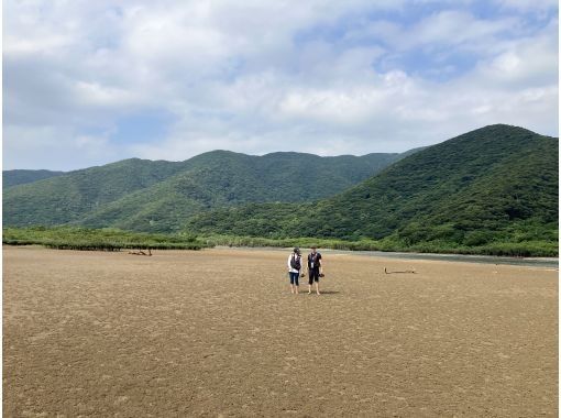 【奄美大島】家族で楽しめるマングローブの干潟散策とカヌーツアー！カニやハゼや植物を観察！認定ガイドが楽しくご案内！の画像