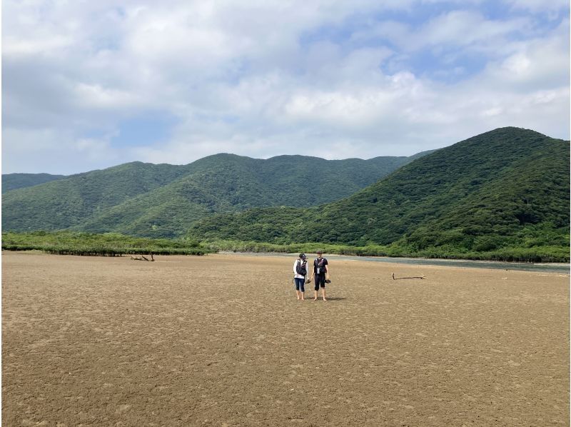 【奄美大島】家族で楽しめるマングローブの干潟散策とカヌーツアー！カニやハゼや植物を観察！認定ガイドが楽しくご案内！