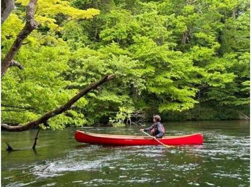 [Hokkaido, Chitose] "Chitose River Canoe" Enjoy the great outdoors! Canoe down the Chitose River, home of salmon <Long Course>の画像
