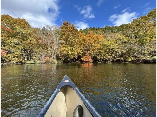 【北海道・千歳川】《カナディアンカヌー　ロングコース》サケの遡上シーズン到来！透き通った水と紅葉も美しい千歳川をカヌーで下ろう！の画像