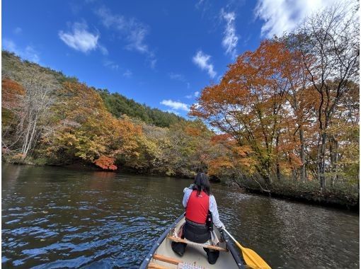 【北海道・千歳川】《カナディアンカヌー　ロングコース》サケの遡上シーズン到来！透き通った水と紅葉も美しい千歳川をカヌーで下ろう！の画像