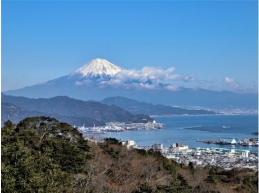 【静岡日帰り】新幹線こだま号で楽々移動！遠州袋井「可睡斎」ひなまつりと掛川花鳥園バスツアー【029029-1039】の画像