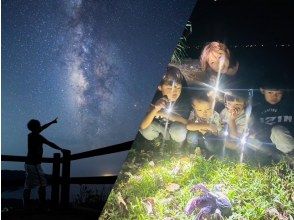 【沖縄・与那国島】亜熱帯の島を満喫！生き物や星空を楽しむナイトツアー