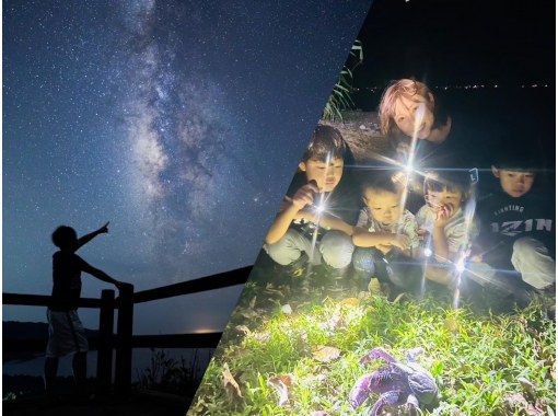 【沖縄・与那国島】亜熱帯の島を満喫！生き物や星空を楽しむナイトツアーの画像
