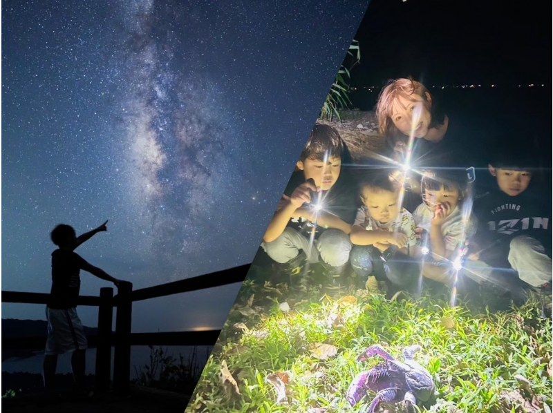 【沖縄・与那国島】亜熱帯の島を満喫！生き物や星空を楽しむナイトツアーの紹介画像