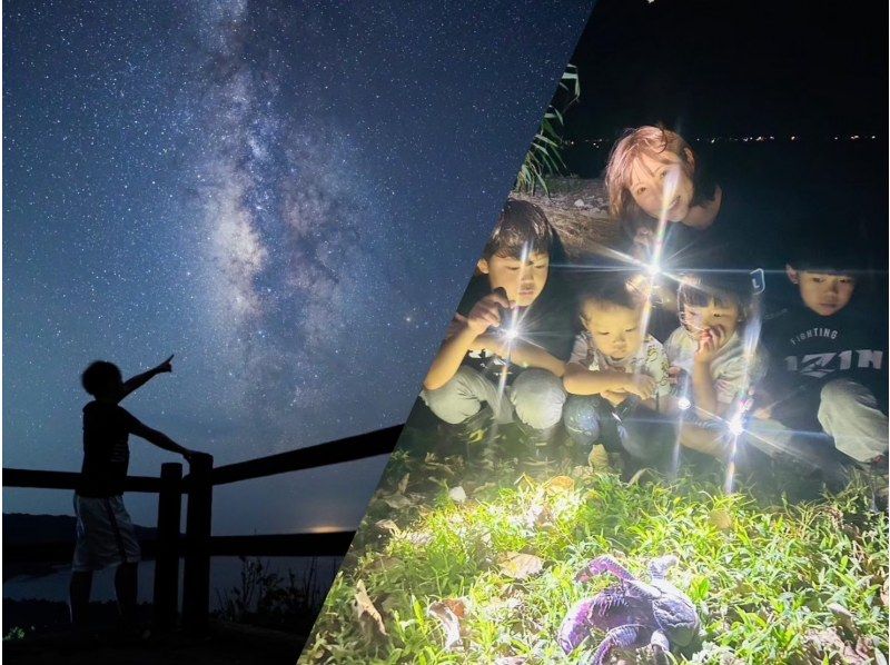 [Okinawa, Yonaguni Island] Enjoy the subtropical island! Night tour to see the creatures and starry skiesの紹介画像