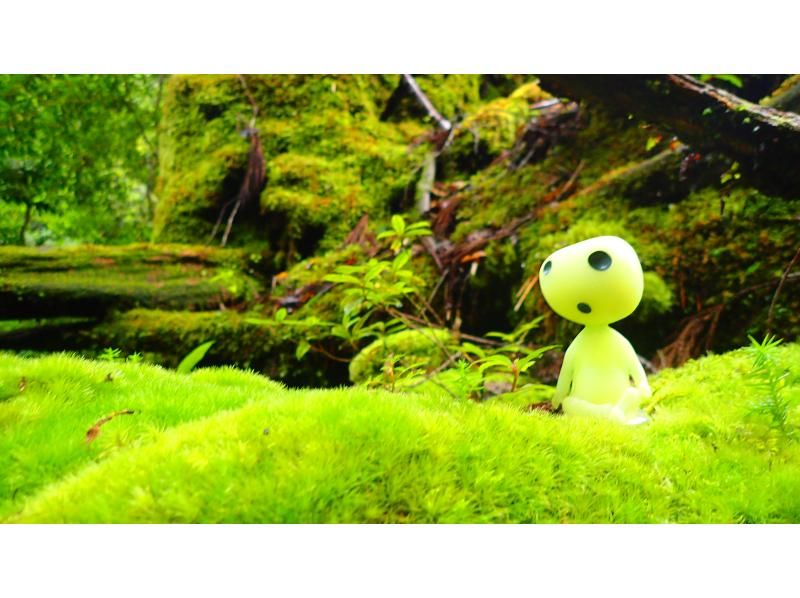 【北海道・SUP体験】透明度の高い支笏湖の湖面をクルージング！SUP体験（半日コース）の画像