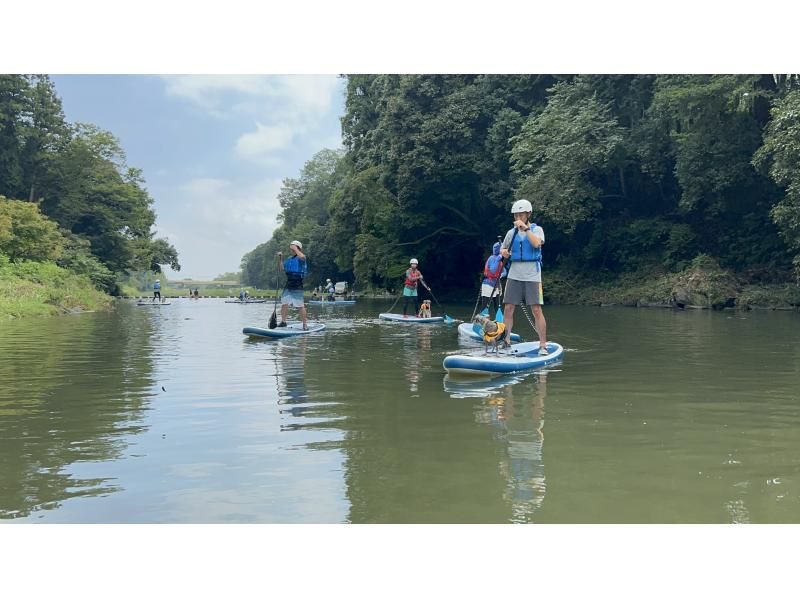 [Saitama, Tokigawa, Arashiyama Town] 1.5 hours from Ikebukuro ♪ SUP down the river! Experience time is 2 hours! Beginners, families, couples, and dogs are all welcome! Tour photos included!の紹介画像