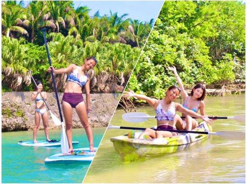 [Irabu Island/half day] Pick-up service available! Miyako blue and mangroves at the same time! Sea mangrove SUP/canoe tour!の画像