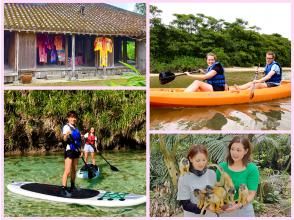 [Ishigaki Island Limited Course] Yaima Village Squirrel Monkey & Nagra Ampar Mangrove Tunnel, SUP or Kayak Free photography, pick-up and drop-off, and admission! Same-day reservations OK YSK