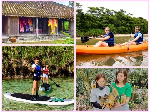 [Okinawa, Ishigaki Island] Absolutely popular Yaima Village, Mangroves! Nagura Amparu SUP and Kayak Tour in the Great Outdoors Free Pick-up and Drop-off ☆ YSKの画像