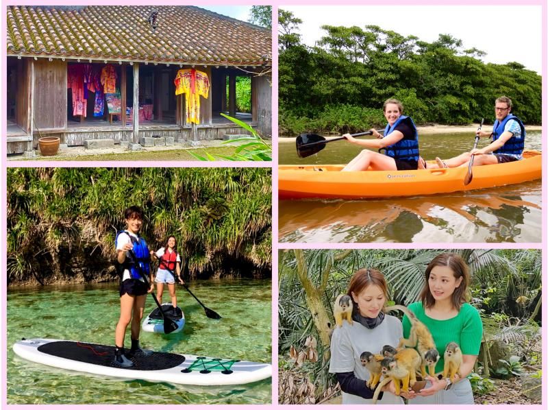 [Ishigaki Island Limited Course] Yaima Village Squirrel Monkey & Nagra Ampar Mangrove Tunnel, SUP or Kayak Free photography, pick-up and drop-off, and admission! Same-day reservations OK YSKの紹介画像