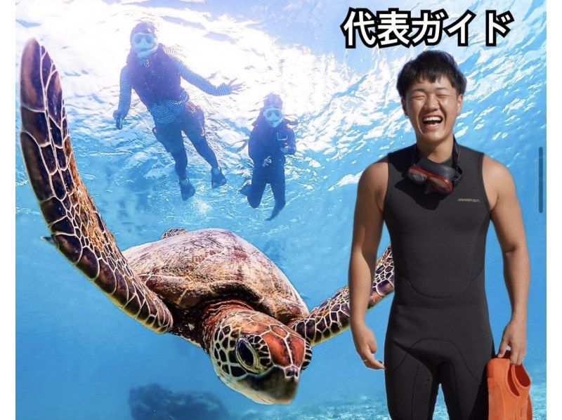 Miyako Island - Babysitter Available] Ages 0-70 OK! Sea Turtle