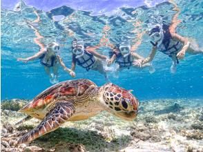 [Okinawa, Miyakojima] Same-day pick-up and drop-off available (a classic) High chance of encountering sea turtles! Enjoy a snorkeling tour where you can encounter sea turtles ★ <Free high-resolution data>