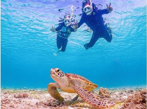 【沖繩，宮古島】經典推薦：100% 邂逅海龜！和朋友一起體驗浮潛，觀賞海龜的樂趣。免費贈送照片資料！の画像