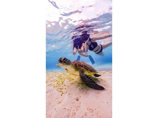 【沖縄・宮古島】《ド定番》ウミガメ遭遇率100％継続中！友達と楽しくウミガメシュノーケルツアー★写真データ無料！！の画像