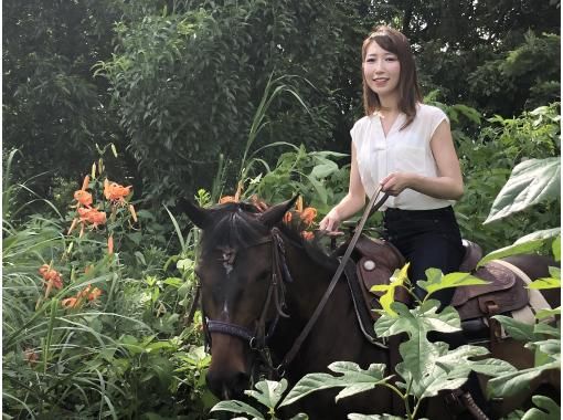 [Tokyo, Hino] Horse trekking ♪ 120 minutes and Mariya's care Relaxing Tea Time and Walking Courseの画像