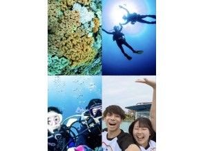 【青の洞窟じゃない選択】混雑なし❤️海を広々貸切❤️カラフルサンゴ礁体験ダイビング❤️タオルサンダル写真動画無料⭕️餌やり付⭕️エリア最安値