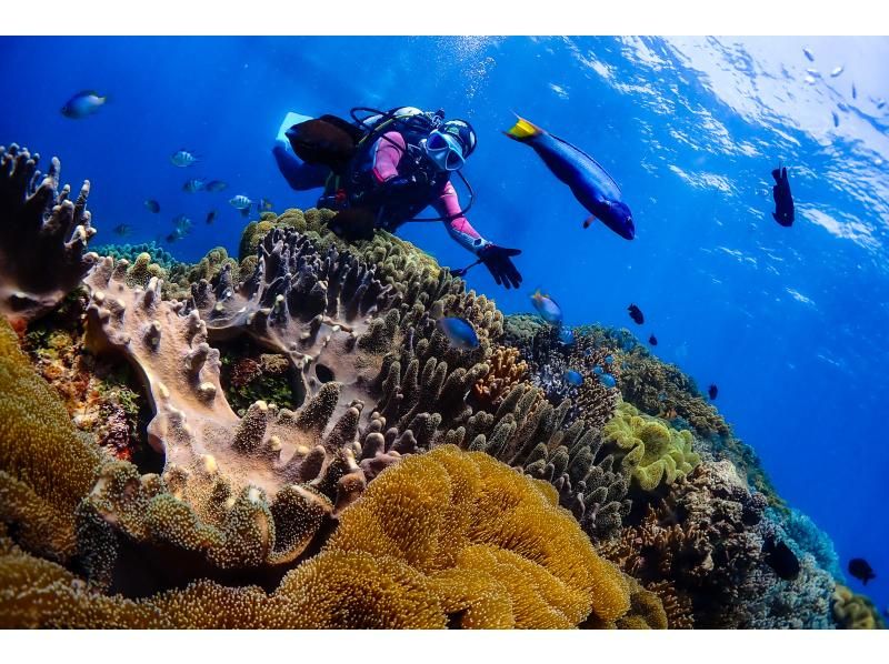 【北海道・SUP体験】透明度の高い支笏湖の湖面をクルージング！SUP体験（半日コース）の画像
