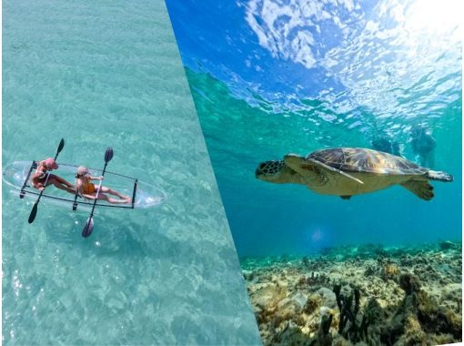 An exciting experience for the whole family to share: Clear Kayak + Beach Snorkeling 2-hour planの画像