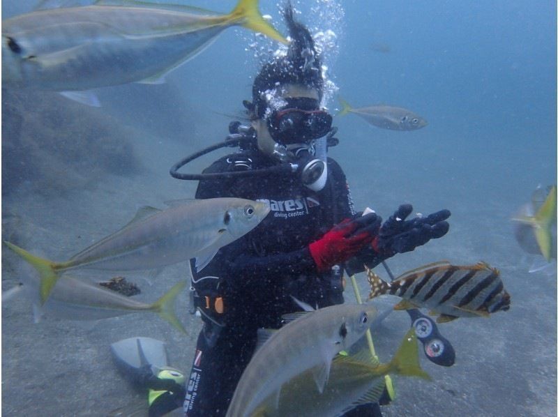 [Shizuoka City, Numazu, Nishiizu, Osezaki] Beginners welcome! Trial diving Enjoy diving in the Izu sea where many fish live Underwater photo details giftの紹介画像