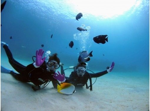 [Okinawa, Minna Island, Sesoko Island] Come empty-handed and enjoy a private boat diving experience with one guide! Excellent visibility! Relax with the coral and white sand!の画像