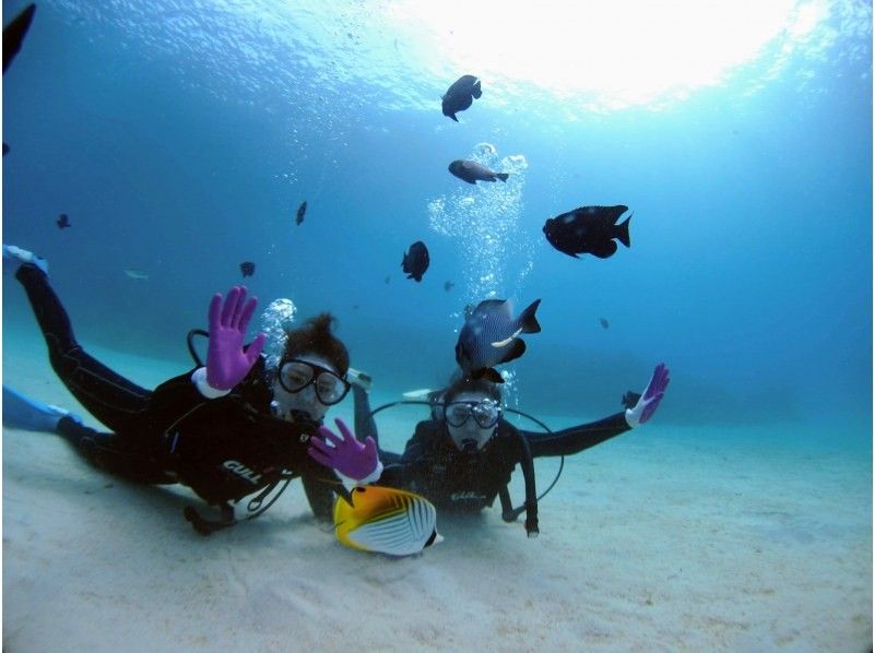 【沖縄・水納島・瀬底島】手ぶらで集合・1組ガイド貸切ボート体験ダイビング！透明度抜群！サンゴ、白い砂地に癒されながら！の紹介画像