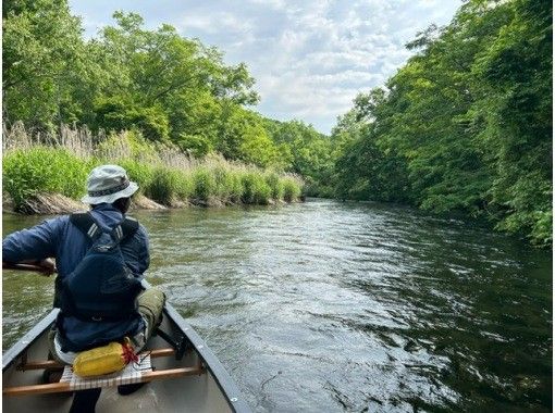 [Hokkaido, Chitose] [Chitose River Canoe Standard Course] Take a canoe ride through the lush forest where Japanese tits and kingfishers live!の画像
