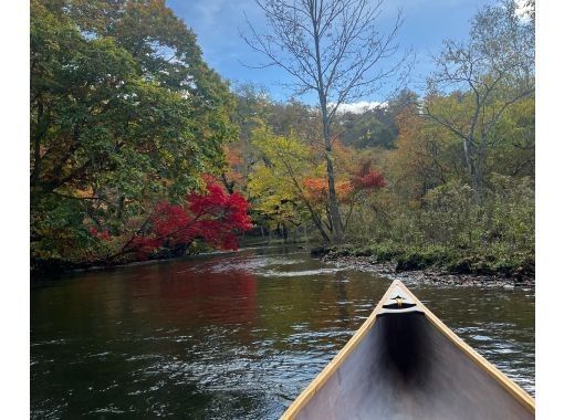 [Hokkaido, Chitose] Canoe down the crystal clear Chitose River through the lush forest <Standard course>の画像
