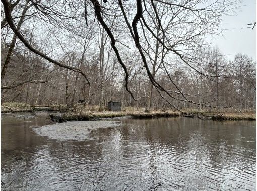 [Hokkaido, Chitose River] [Winter boat tour available only from December to mid-March] Take a leisurely ride down the river while enjoying the clear winter river, air, and snowy scenery!の画像