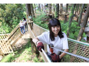 Forest Adventure Odawara