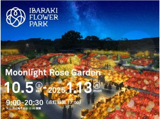 いばらきフラワーパーク 夜のバラ園ライトアップ「MoonlightＲoseＧarden2024」バスツアー【029029-1025】の画像