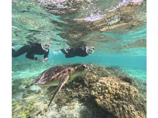 【鹿児島県・奄美市】　奄美大島ウミガメシュノーケルツアー、ショップ前ビーチで階段下りたらそこがポイント！サップボード牽引で泳ぎ苦手でもOKの画像