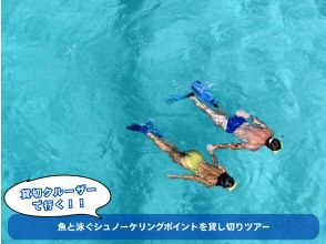 【冲绳东海岸】私人浮潜点，与鱼儿一起畅游！一日私人游船之旅[300分钟]