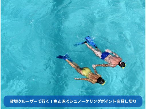 【冲绳东海岸】私人浮潜点，与鱼儿一起畅游！一日私人游船之旅[300分钟]の画像