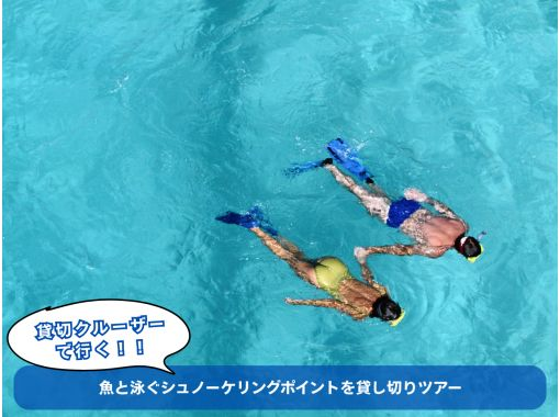 【오키나와 · 동해안】 물고기와 수영 스노클링 포인트를 전세! 1 일 전세 개인 크루징 투어の画像