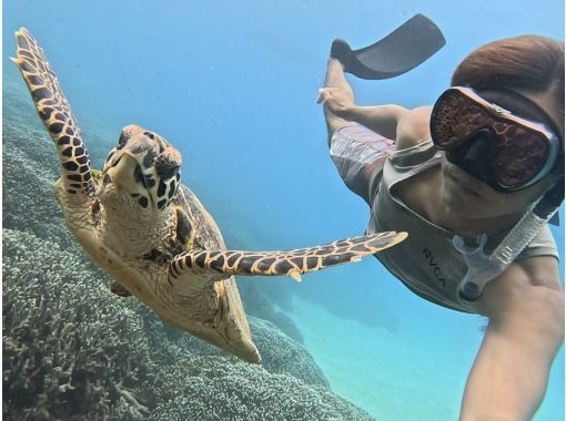 【沖縄・瀬底島】NEW Menu ウミガメが棲む瀬底島でスキンダイビング始めました！可愛いロングフィンレンタル無料♪４Kカメラ撮影無料！の画像
