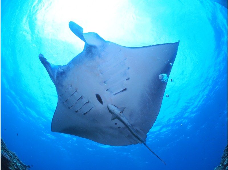 リライト石垣島の最新画像