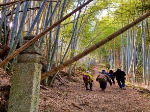 [Wakayama, Koyacho/Kudoyamacho/Katsuragicho] Historical road where Kobo Daishi also walked ~ World Heritage Town Stone Path Walk