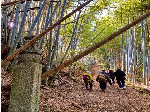 【和歌山・高野町/九度山町/かつらぎ町】弘法大師も歩いた歴史の道〜世界遺産町石道ウォークの画像