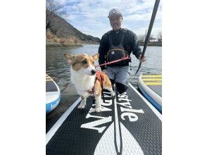 [Lake Yamanaka Dog SUP] Enjoy with your dog at the foot of Mt. Fuji! Guided by a qualified dog SUP instructor!