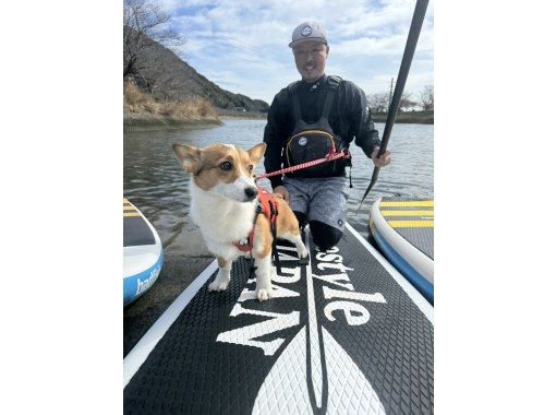 [Lake Yamanaka Dog SUP] Enjoy with your dog at the foot of Mt. Fuji! Guided by a qualified dog SUP instructor!の画像